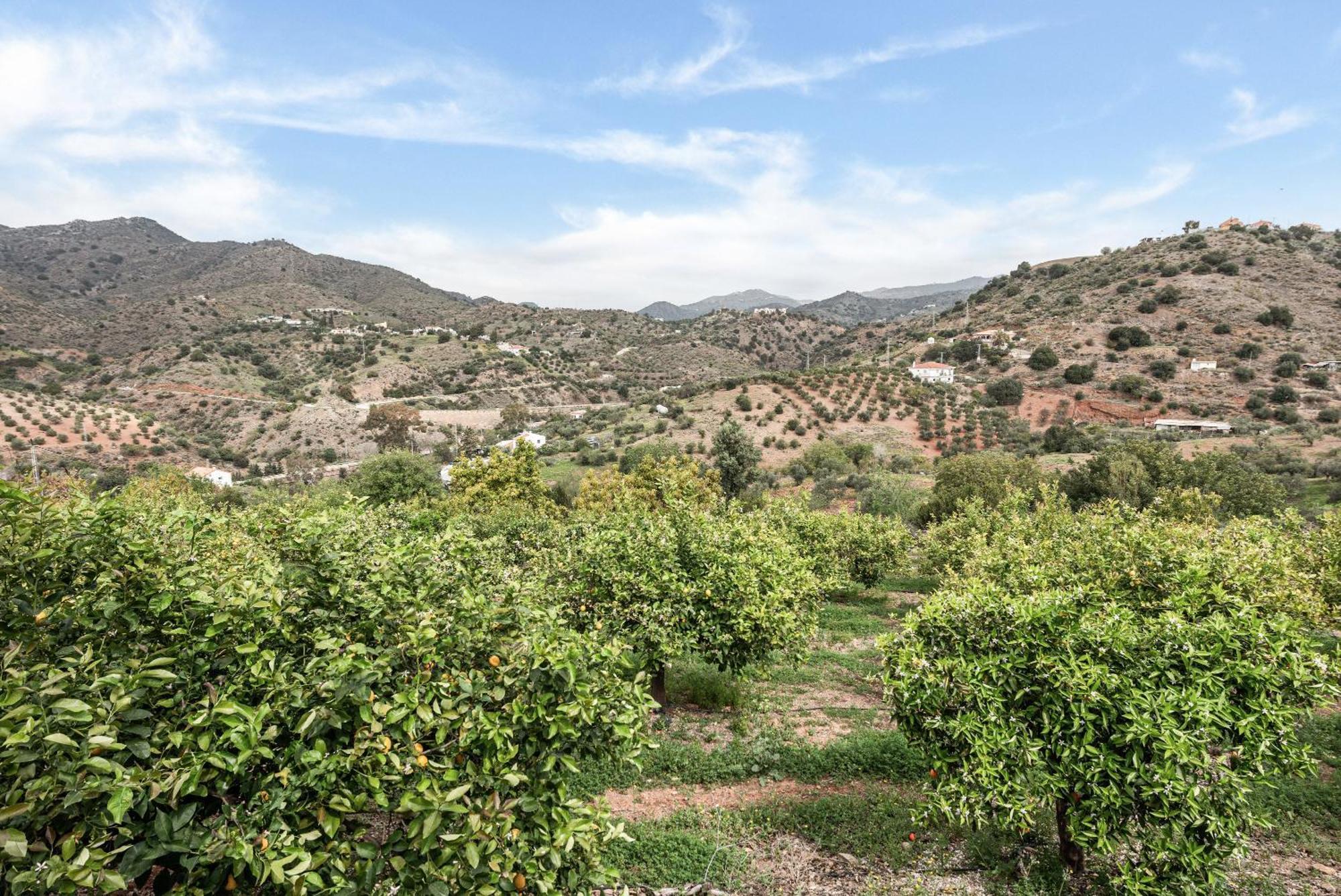 Finca Llano De Fe Málaga Exterior foto